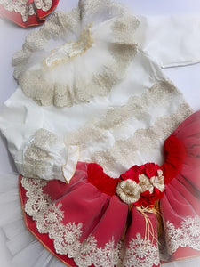 Ela confection Red&Gold skirt set with hairpiece