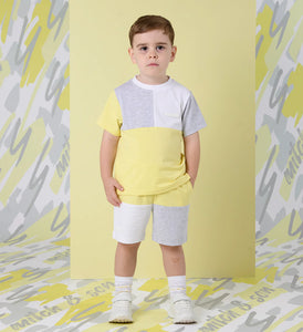 Boys Mitch Lemon&grey short&top set