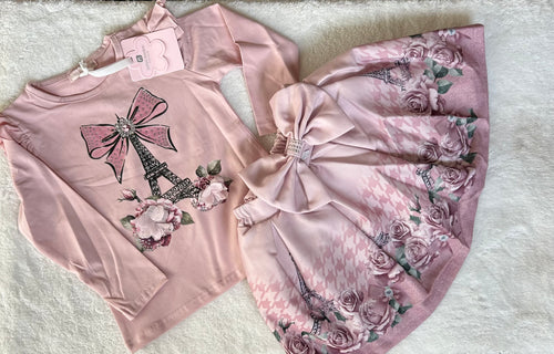 Pink Paris skirt & top set