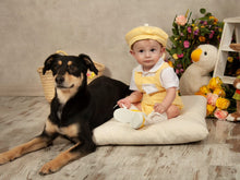 Load image into Gallery viewer, Sonata SS24 boys Lemon Hbar